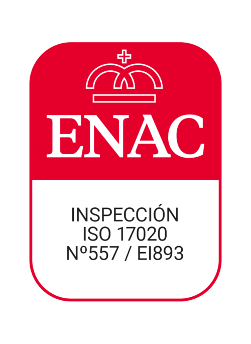 inspeccion_WEB 1 exp_557 _ EI893